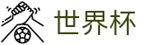 2026国际足联世界杯_现金网